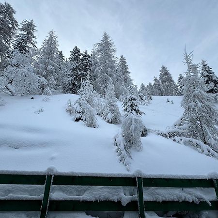 Ski Lodge Pampeago Teser im Fleimtal Exterior foto